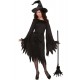 Wicked Witch ADULT BUY